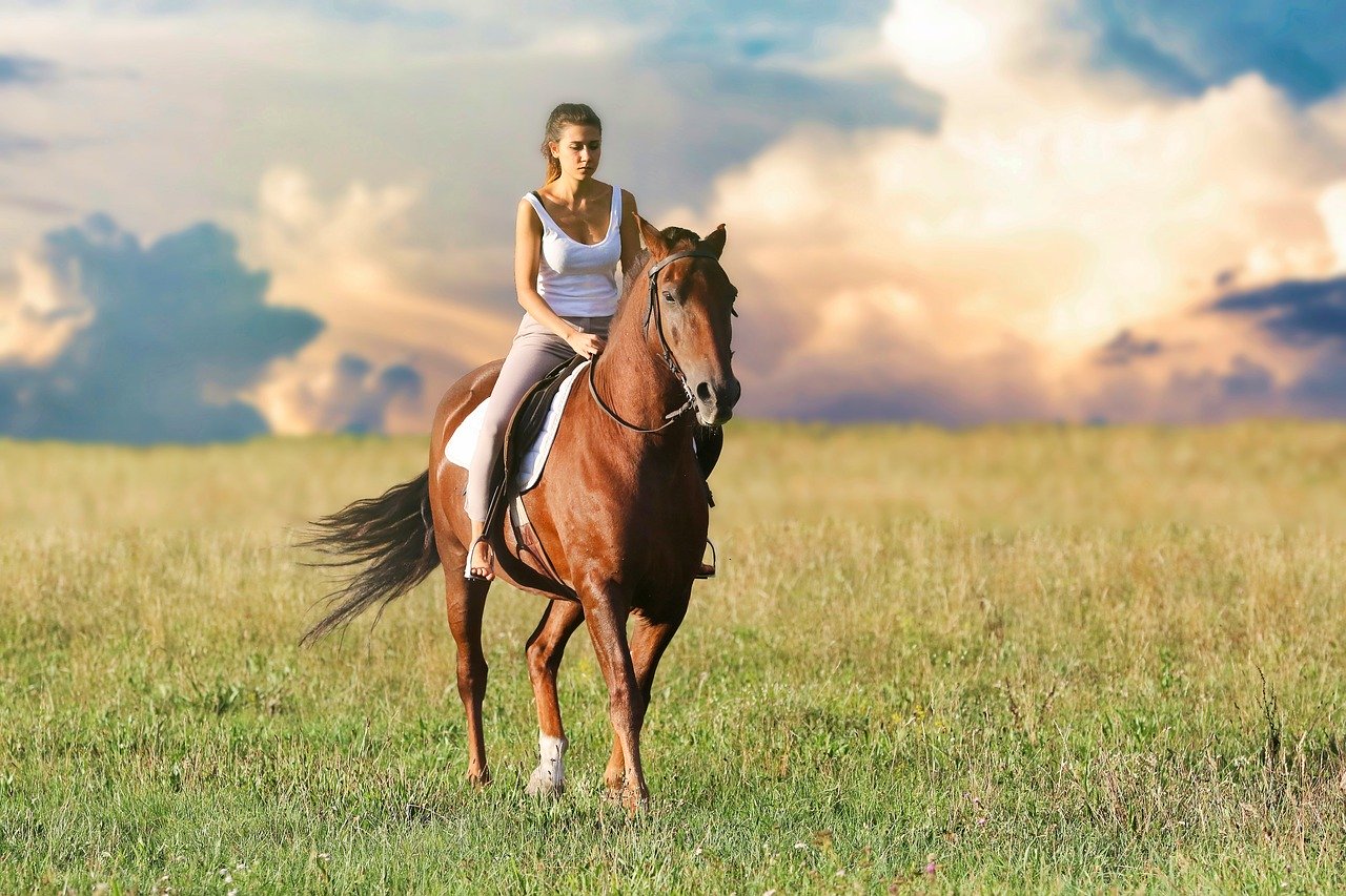 seguros para caballos